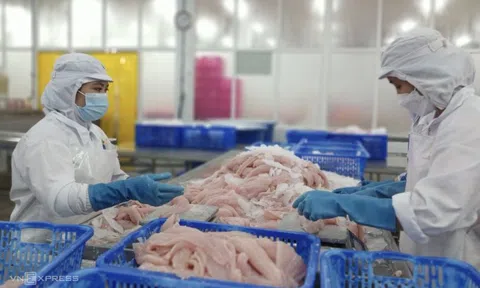 Thêm 6 doanh nghiệp cá tra được miễn thuế khi xuất sang Mỹ